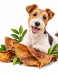 Oreille de Bœuf Séchée – Friandise Naturelle à Mâcher pour Chien