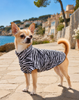 Chemise Anti-UV & Anti-Insectes pour Chien Zebra UPF 50+ petit chien