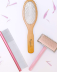 Peigne et brosse