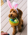 Easter Egg Basket Dog Toy
