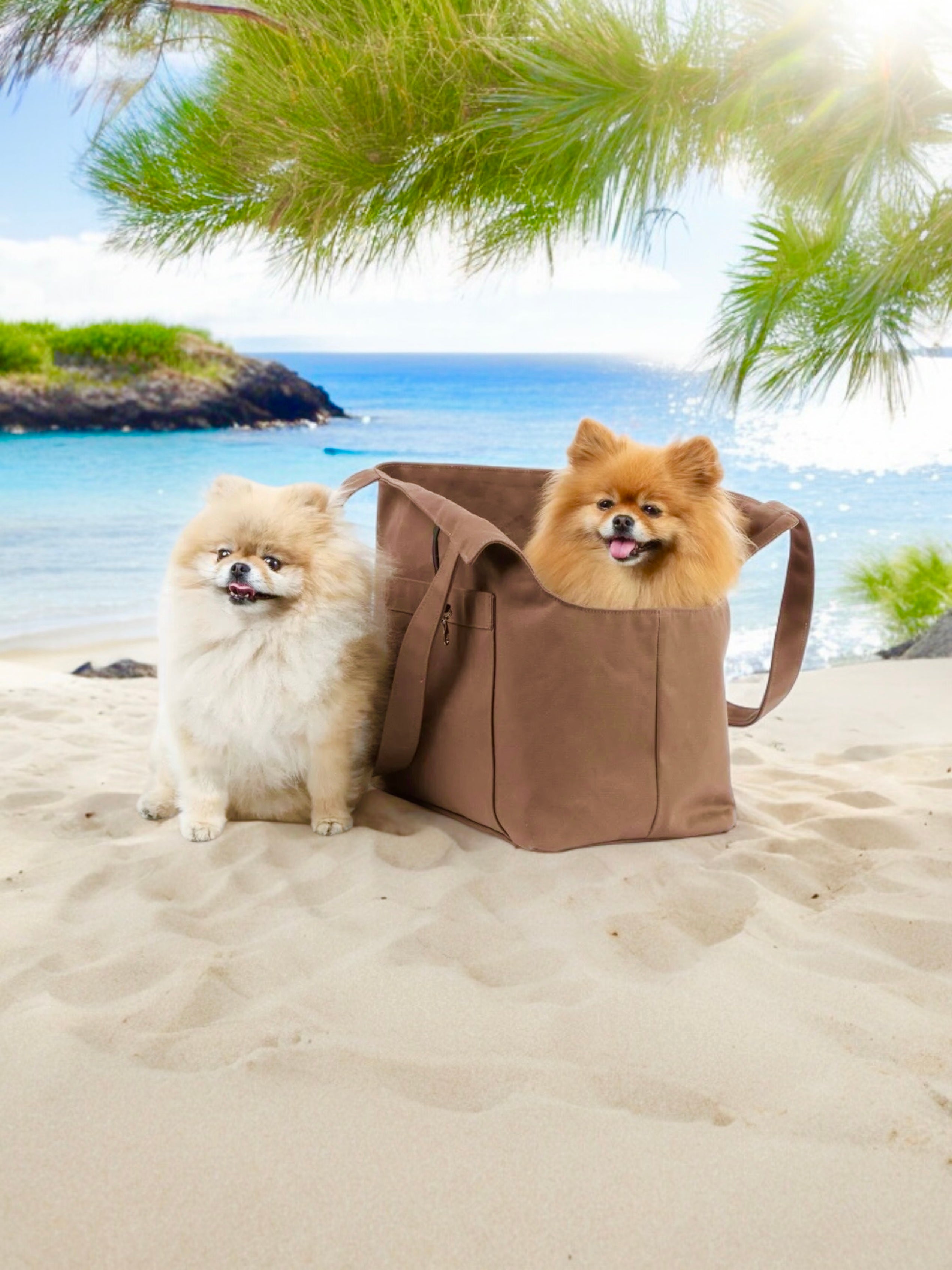 Pom d'Azur® — Luxury Dog Grooming & Accessories