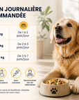 Senior Dog Food - Turkey and Vegetables - 6 x 250g