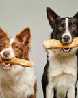 Bois à mâcher pour chien par Gloria