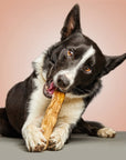Bois à mâcher pour chien par Gloria