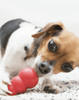 KONG Classic Jouet Petits Chiens - Pom D'Azur