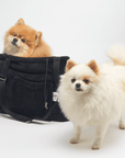 Sac de Transport Noir 'Pom d'Azur' Teddy Bear par Sohopoms - Pom D'Azur