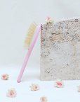 Brosse Poméranien Spitz par Pom Beauty