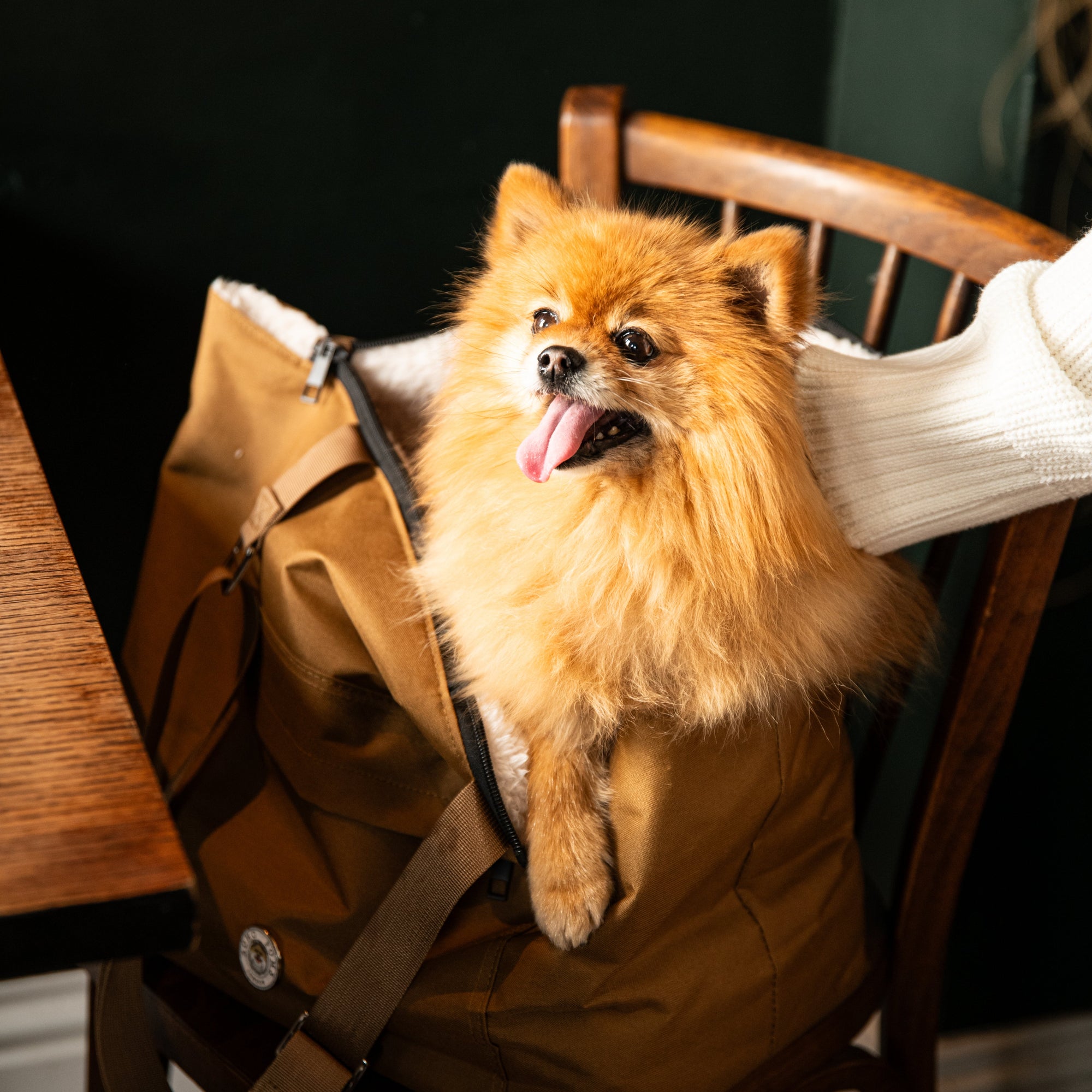 Sac de Transport pour Chien Caramel Par Sohopoms Moyen