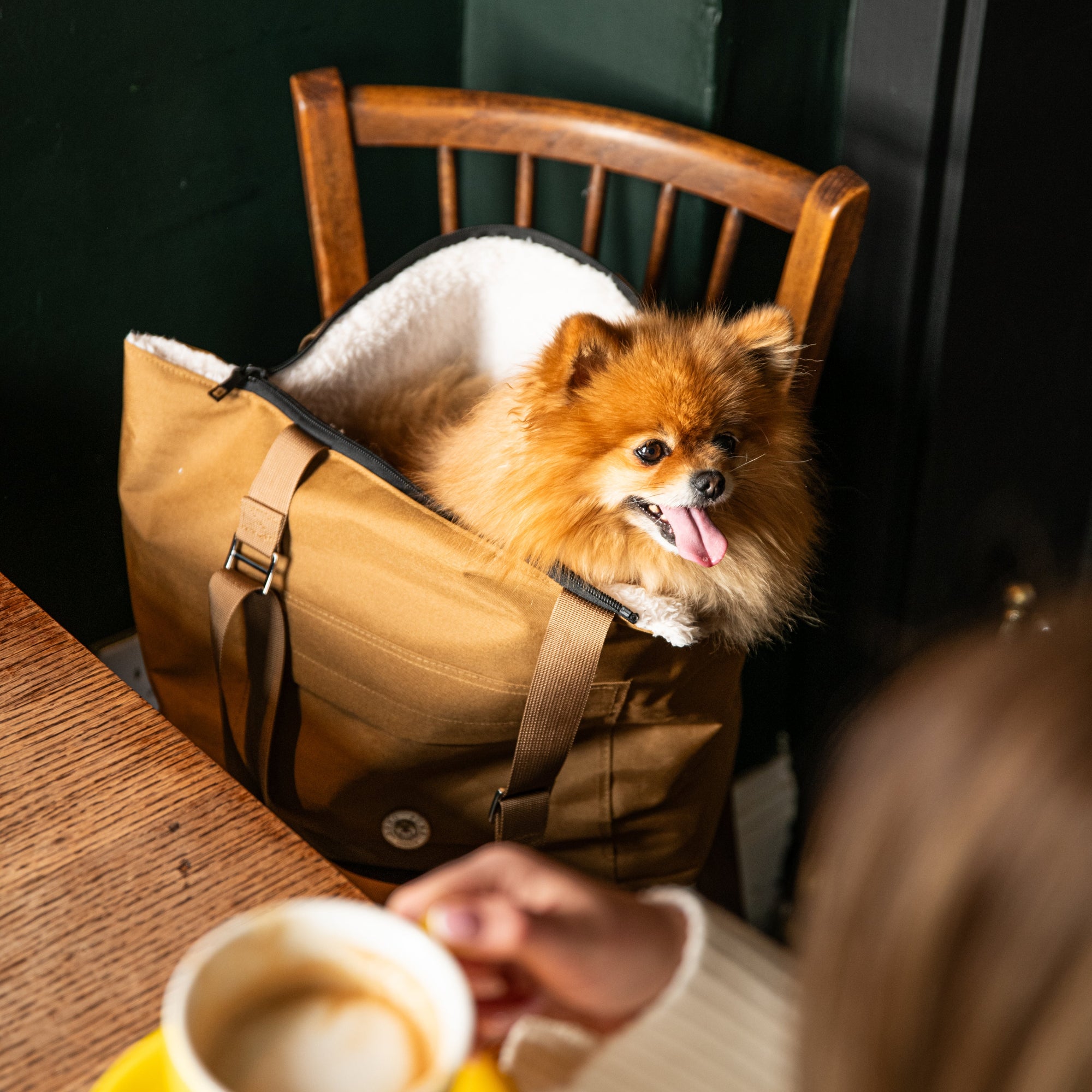 Sac de Transport pour Chien 'Cosy' Par Sohopoms