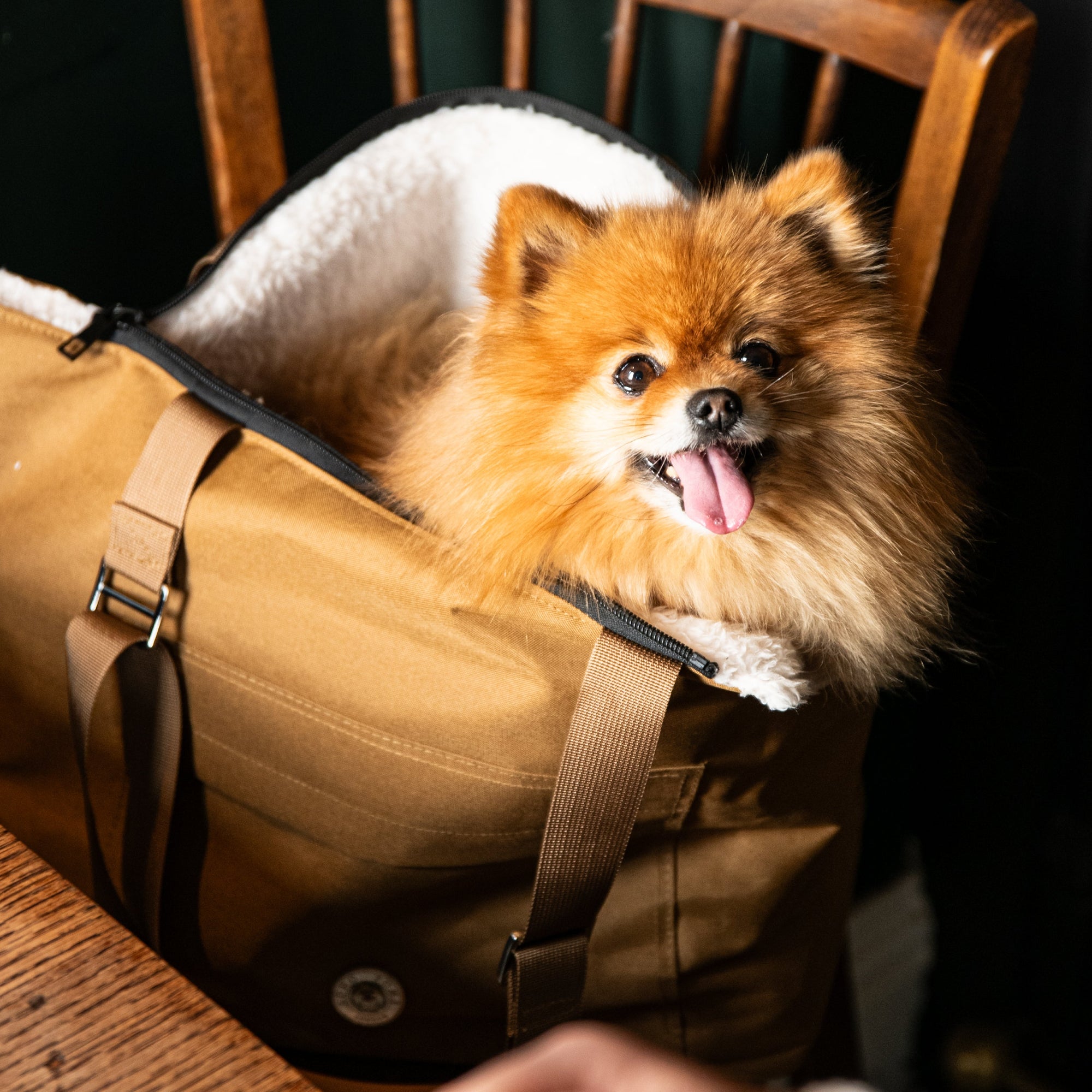 Sac de Transport pour Chien Caramel Par Sohopoms Petit
