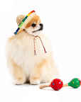 Sombrero Fiesta Premium pour Chien – Chapeau Mexicain Ajustable