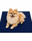 Tapis Rafraîchissant pour Chien Gel Auto-Rafraîchissant Petits Chiens lifestyle