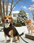 YETI Chocolate Dog Harness Coat by Pom d'Azur