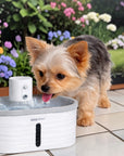 Fontaine Automatique pour Chien 'Nomade' – 2,5 L