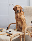 Brosse à carder pour Chien Poils Long en Bambou