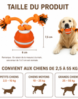 Balle Roulante Interactive Infrarouge Rechargeable pour Chat et Chien