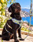 Laisse Amalfi Pawppy Paris