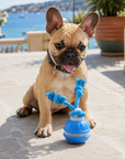 Balle Roulante Interactive Infrarouge Rechargeable pour Chat et Chien