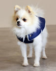 Pull Imperméable pour chien 'Teddy' multicolore par SohoPoms - Pom D'Azur