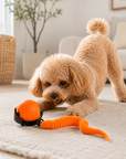 Balle Roulante Interactive Infrarouge Rechargeable pour Chat et Chien