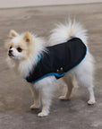 Pull Imperméable pour chien 'Teddy' multicolore par SohoPoms - Pom D'Azur