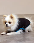 Pull Imperméable pour chien 'Teddy' multicolore par SohoPoms - Pom D'Azur