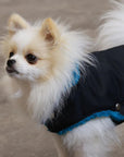 Pull Imperméable pour chien 'Teddy' multicolore par SohoPoms - Pom D'Azur