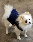 Pull Imperméable pour chien 'Teddy' multicolore par SohoPoms - Pom D'Azur