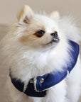 Pull Imperméable pour chien 'Teddy' multicolore par SohoPoms - Pom D'Azur