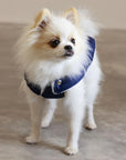Pull Imperméable pour chien 'Teddy' multicolore par SohoPoms - Pom D'Azur