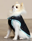 Pull Imperméable pour chien 'Teddy' multicolore par SohoPoms - Pom D'Azur