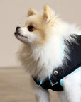 Pull Imperméable pour chien 'Teddy' multicolore par SohoPoms - Pom D'Azur