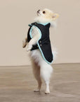 Pull Imperméable pour chien 'Teddy' multicolore par SohoPoms - Pom D'Azur
