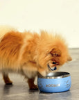 Moomin Blue Dog Bowl by SohoPoms