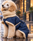 Manteau de Pluie pour Chien 'Sherpa Marine' par Paikka