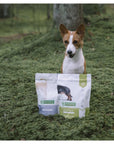 Croquettes Mini Adulte Poulet Nature's Protection