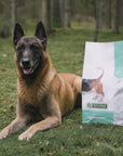 Croquettes Senior Poulet Nature's Protection 4kg