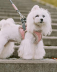 Harnais Chien YETI Rouge par Bowl & Bone - Pom D'Azur