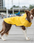 Pink "Storm" dog raincoat by Bowl&Bone