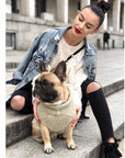 Pull Pour Chien ASPEN Ecru par Bowl & Bone - Pom D'Azur