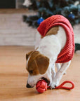 Pull Pour Chien ASPEN Rouge par Bowl & Bone - Pom D'Azur