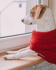 Pull Pour Chien ASPEN Rouge par Bowl & Bone - Pom D'Azur