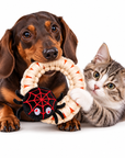 Jouet Halloween pour Chien & Chat – Anneau en Corde avec Araignée