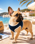 Harnais pour chien 'Riviera' Denim Édition Cannes Pom d'Azur
