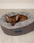 Lit Donut pour petit Chien et Chat