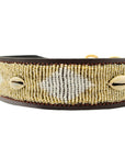 Collier pour Chien Golden Shell