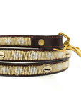 Laisse pour Chien Golden Shell