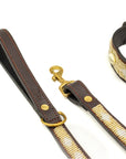 Laisse pour Chien Golden Shell