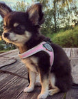 Harnais pour Chien Rose Réglable avec Fermeture par Cordon et Stoppeur Tri ponti