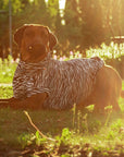 Chemise Anti-UV & Anti-Insectes pour Chien Zebra UPF 50+